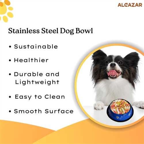 Stainless Steel Paw Bone Printed Food/Water Feeding Bowl for Dogs & Puppies