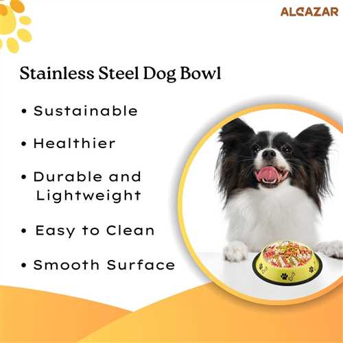 Stainless Steel Paw Bone Printed Food/Water Feeding Bowl for Dogs & Puppies