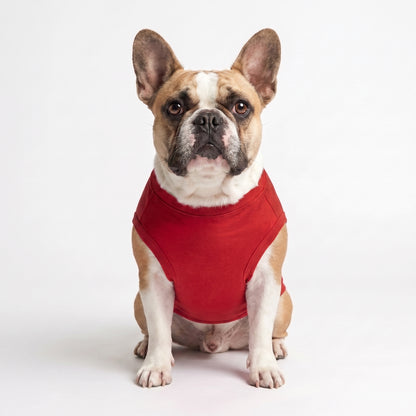 Classic Cotton Dog T-Shirt