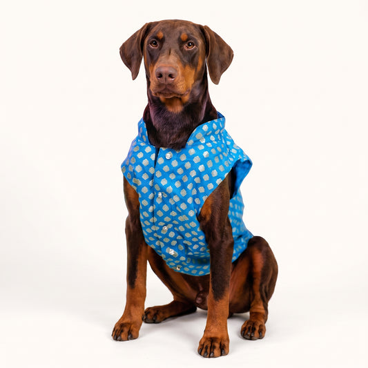 Dog Sherwani Kurta – Ethnic Wear for Small to Large Dogs