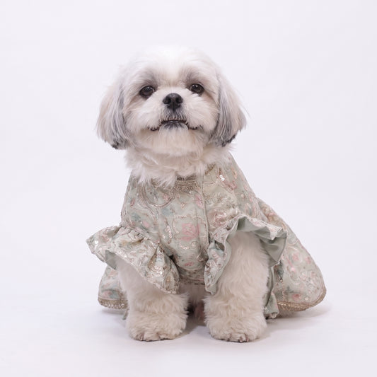 Mint Swirl Designer Lehenga for Dogs