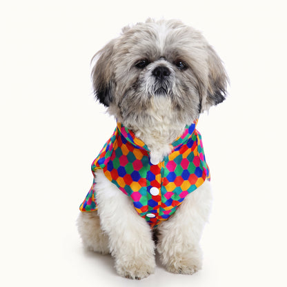 Polka Dot Dog Kurta – Traditional Festive Wear