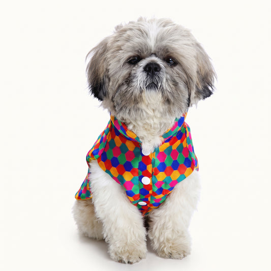 Polka Dot Dog Kurta – Traditional Festive Wear