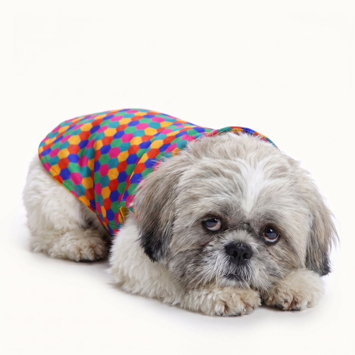 Polka Dot Dog Kurta – Traditional Festive Wear