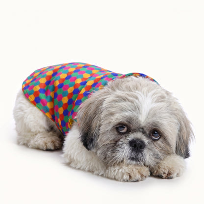 Polka Dot Dog Kurta – Traditional Festive Wear