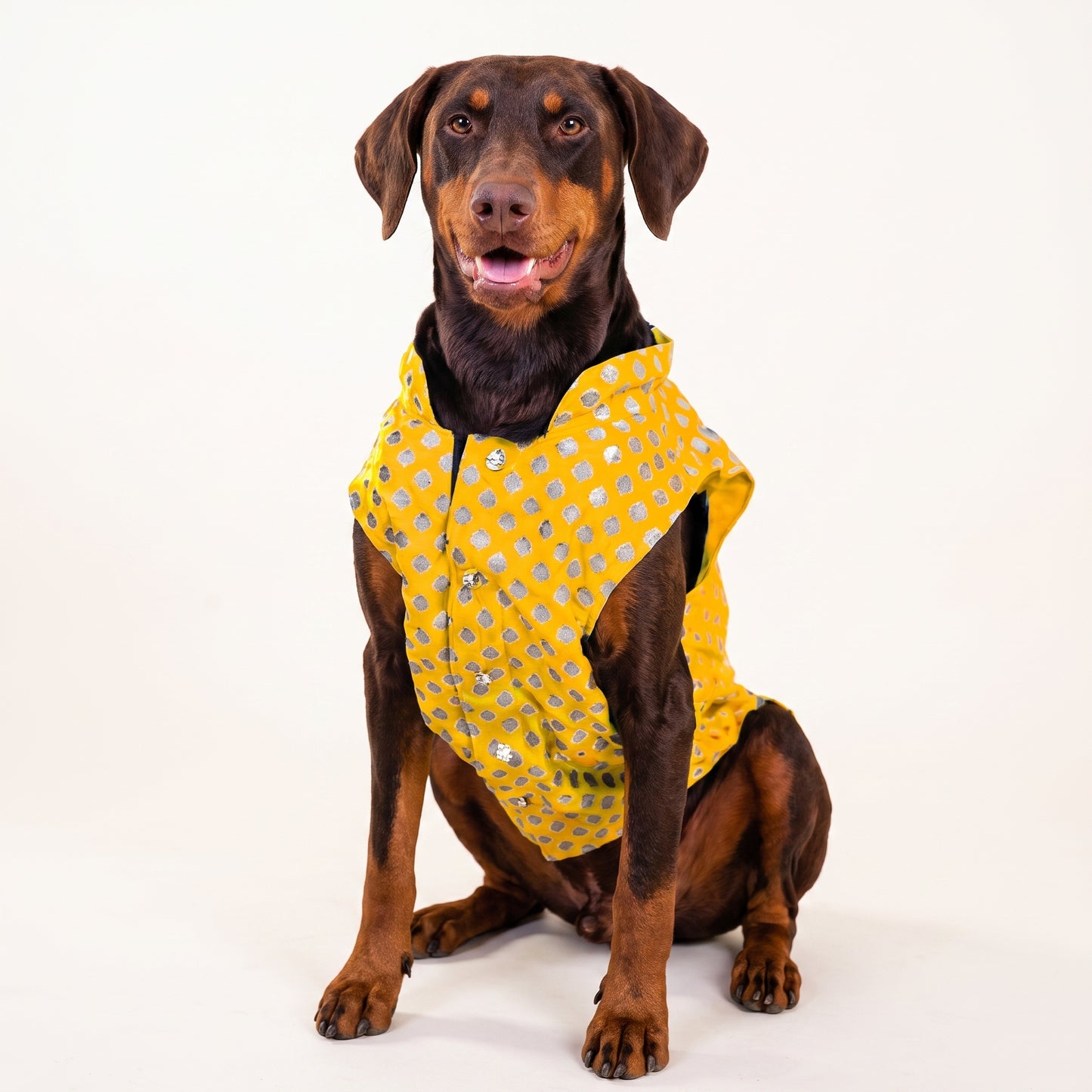 Dog Sherwani Kurta – Ethnic Wear for Small to Large Dogs