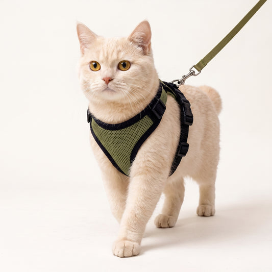 Adjustable Breathable Cat Harness & Leash Set