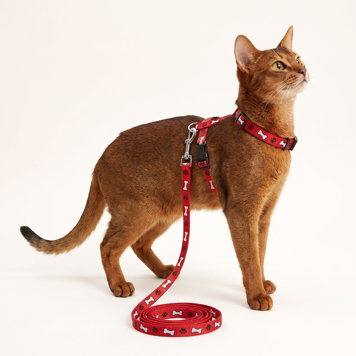 Adjustable Cat Harness & Leash Set – Paw & Bone Print