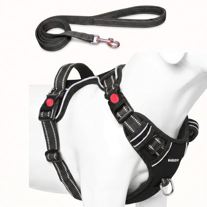 Adjustable Padded Dog Harness & Leash Set with Handle