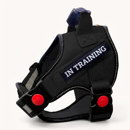 Adjustable Padded Dog Harness with Handle
