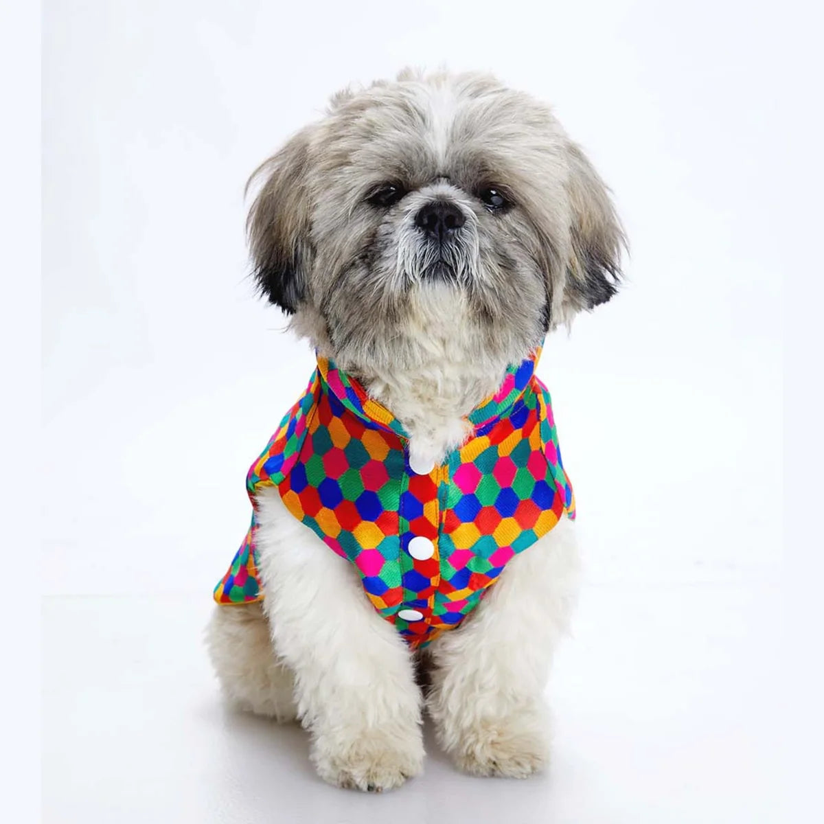 Polka Dots Kurta – Stylish & Comfortable Dog Traditional Wear