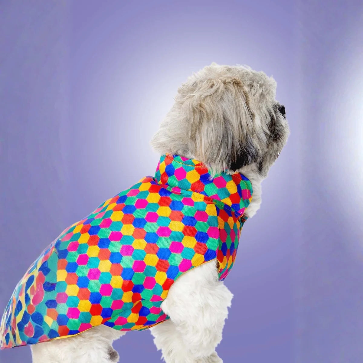 Polka Dots Kurta – Stylish & Comfortable Dog Traditional Wear