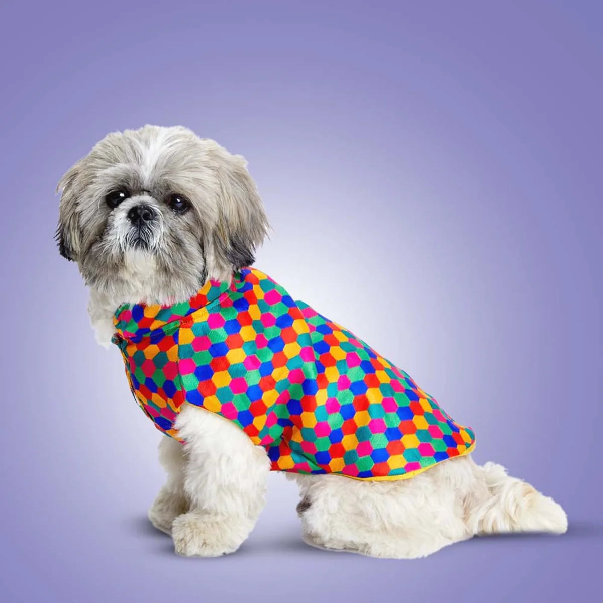 Polka Dots Kurta – Stylish & Comfortable Dog Traditional Wear