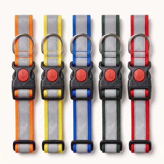 Adjustable Reflective Dog Collar