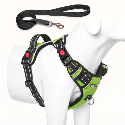 Adjustable Padded Dog Harness & Leash Set with Handle
