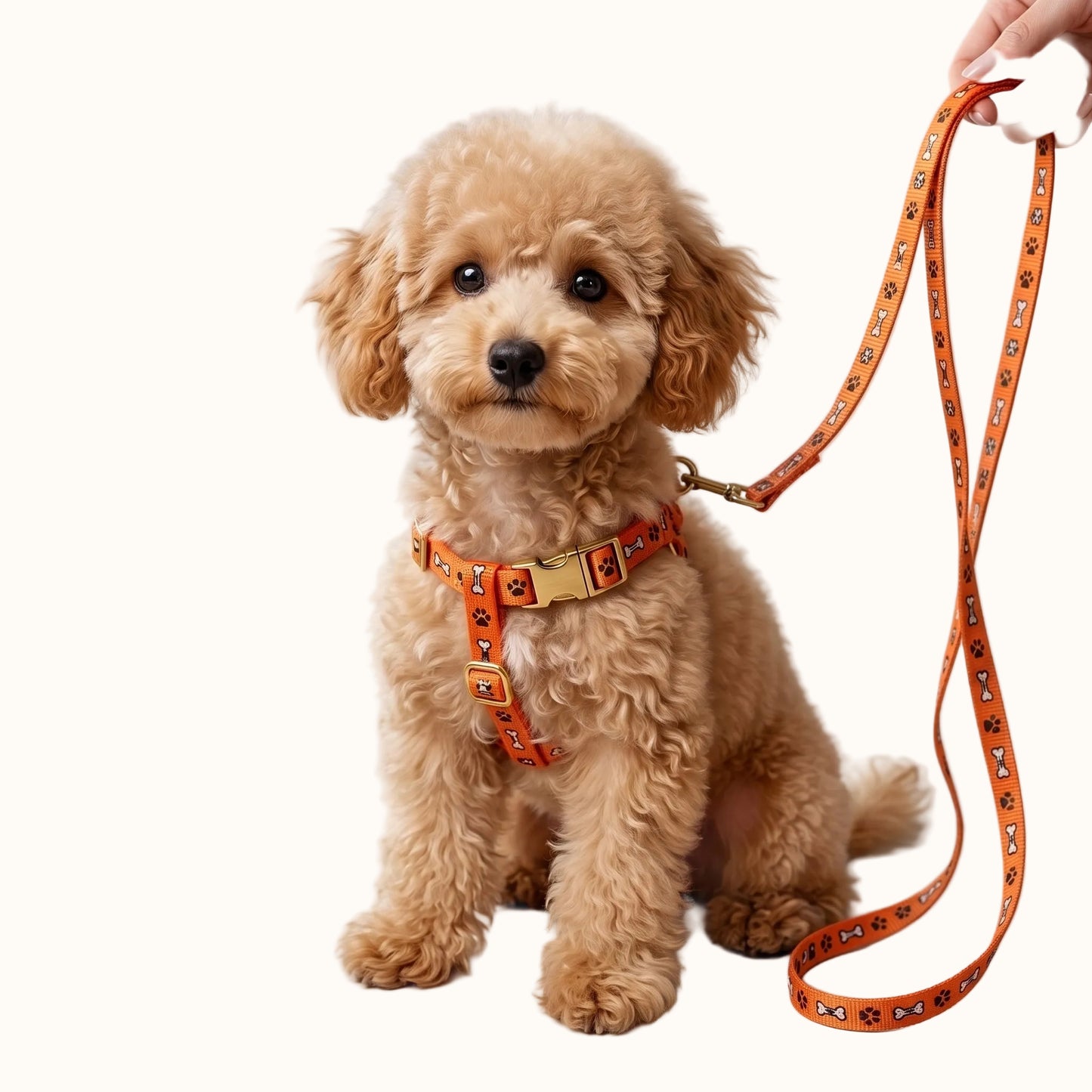 Adjustable Puppy Harness & Leash Set – Paw & Bone Print