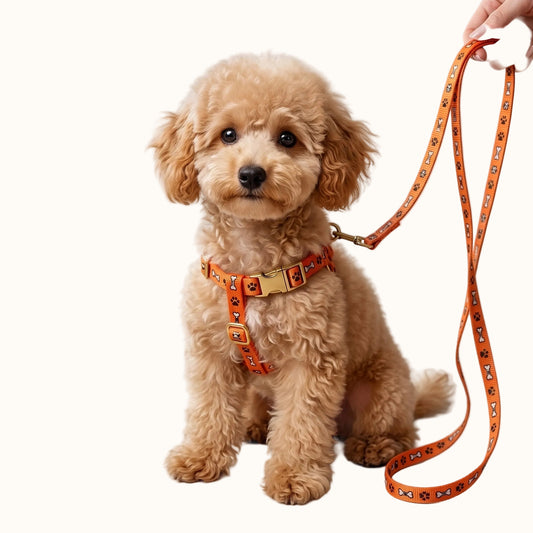Adjustable Puppy Harness & Leash Set – Paw & Bone Print