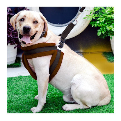 Soft Fur-Padded Dog Harness, Collar & Leash Set