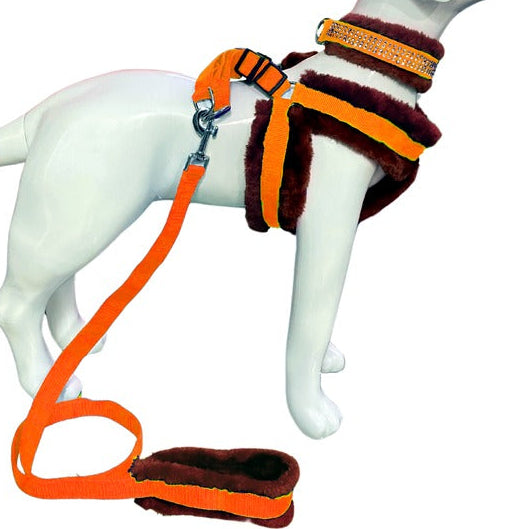 Soft Fur-Padded Dog Harness, Collar & Leash Set