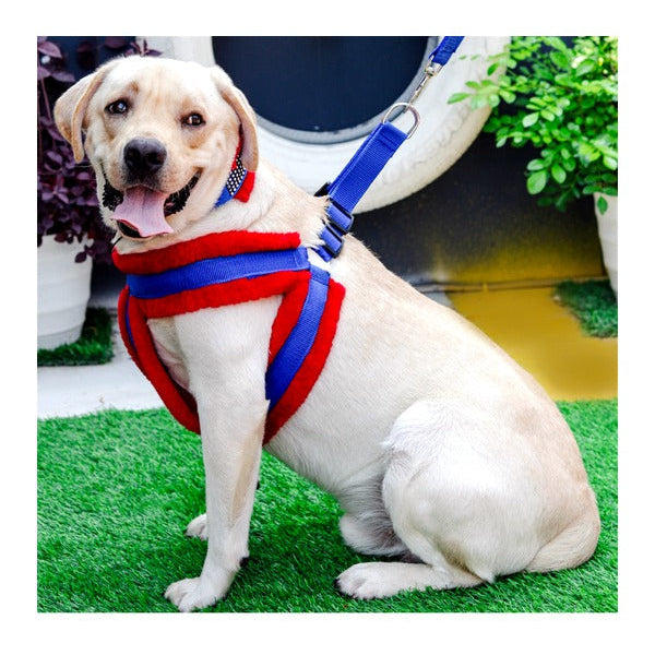 Soft Fur-Padded Dog Harness, Collar & Leash Set