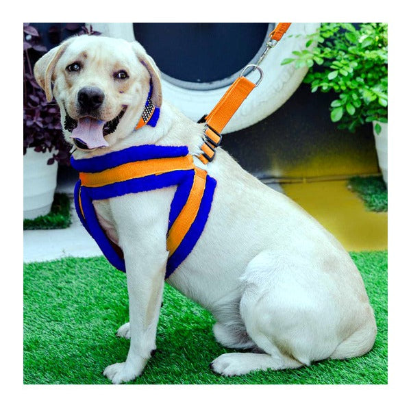 Soft Fur-Padded Dog Harness, Collar & Leash Set