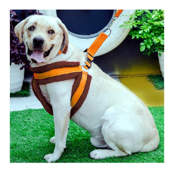 Soft Fur-Padded Dog Harness, Collar & Leash Set