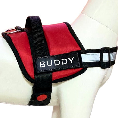 Adjustable Padded Dog Vest Harness