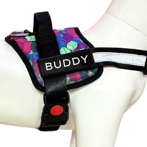 Adjustable Padded Dog Vest Harness