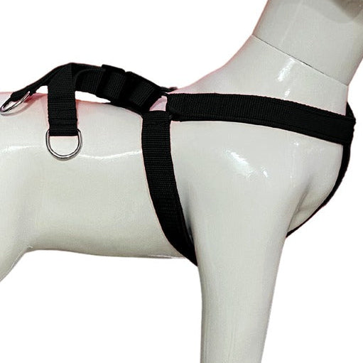 Soft Padded Nylon Dog Harness with Adjustable Straps