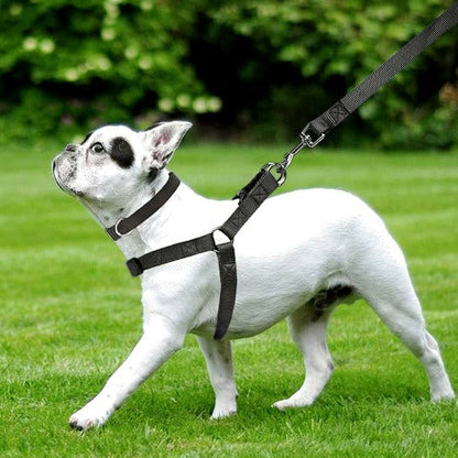 Soft Padded Nylon Dog Harness with Adjustable Straps
