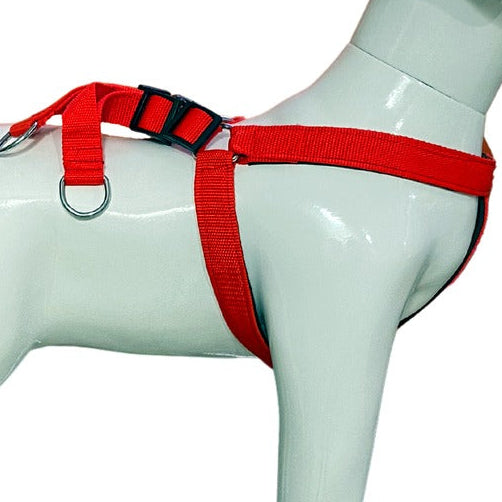 Soft Padded Nylon Dog Harness with Adjustable Straps