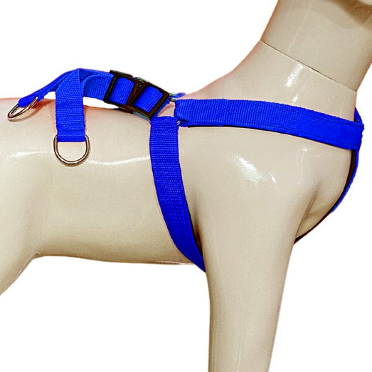 Soft Padded Nylon Dog Harness with Adjustable Straps