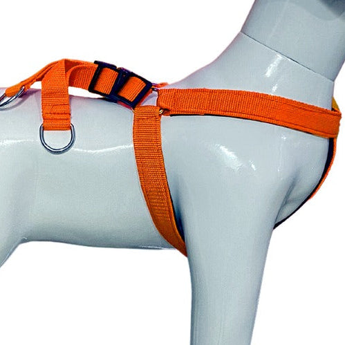 Soft Padded Nylon Dog Harness with Adjustable Straps