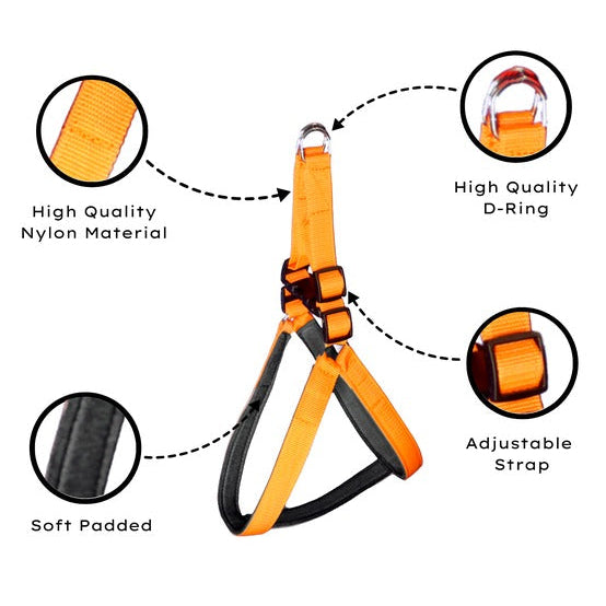 Soft Padded Nylon Dog Harness with Adjustable Straps