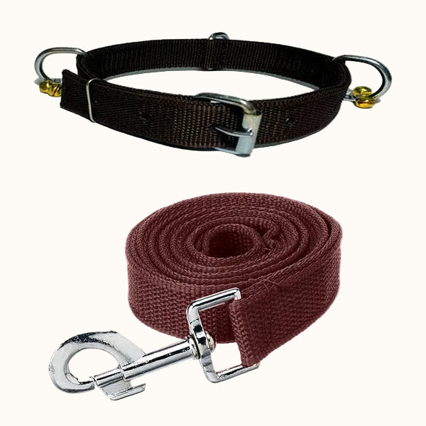 Nylon Bell Collar & Leash Set