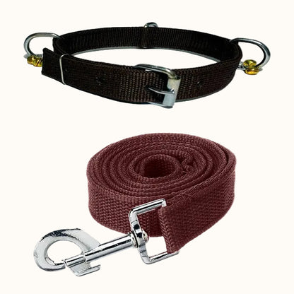 Nylon Bell Collar & Leash Set