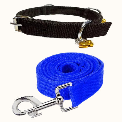 Nylon Bell Collar & Leash Set