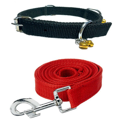 Nylon Bell Collar & Leash Set