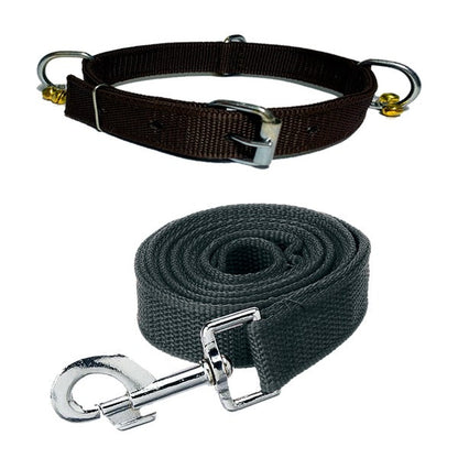 Nylon Bell Collar & Leash Set