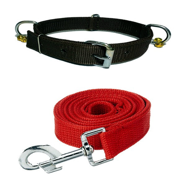 Nylon Bell Collar & Leash Set