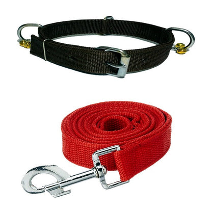 Nylon Bell Collar & Leash Set