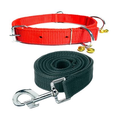 Nylon Bell Collar & Leash Set