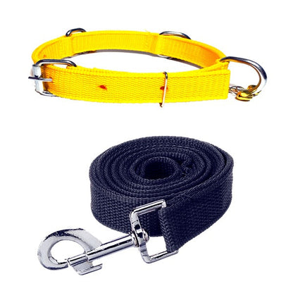Nylon Bell Collar & Leash Set
