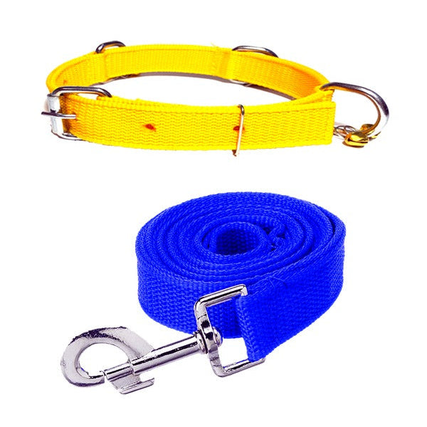 Nylon Bell Collar & Leash Set