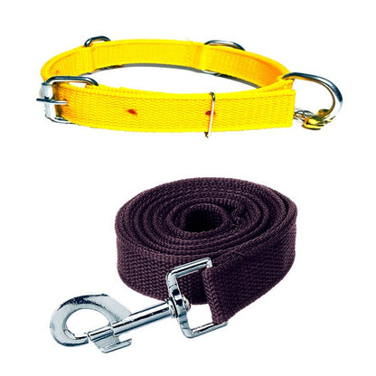 Nylon Bell Collar & Leash Set