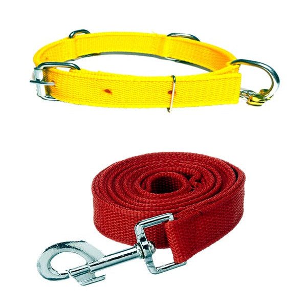 Nylon Bell Collar & Leash Set