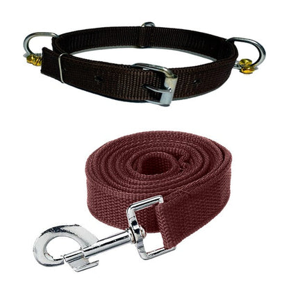 Nylon Bell Collar & Leash Set