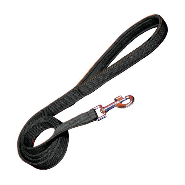Padded Nylon Dog Leash