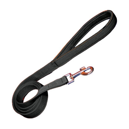 Padded Nylon Dog Leash
