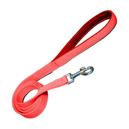 Padded Nylon Dog Leash